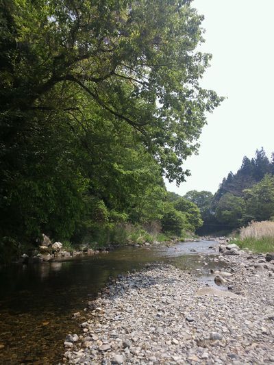 1000円グルメの日々in宇都宮