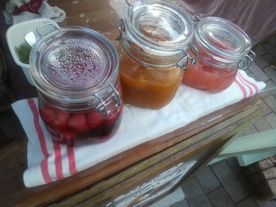 1000円グルメの旅　from 宇都宮　to 47都道府県