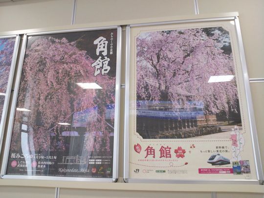 1000円グルメの旅 from 宇都宮 to 47都道府県