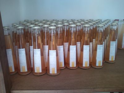 1000円グルメの日々in宇都宮