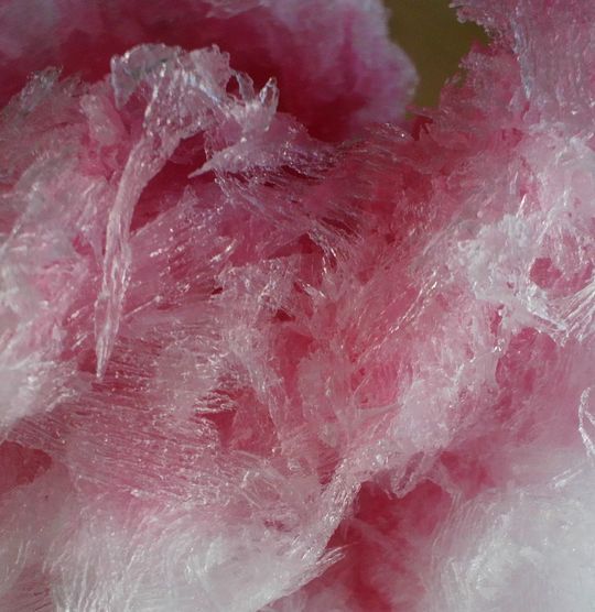 1000円グルメの日々in宇都宮