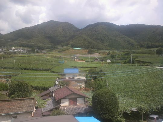 1000円グルメの日々in宇都宮