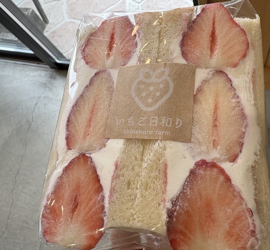 2025-03-11 12.52.03-1