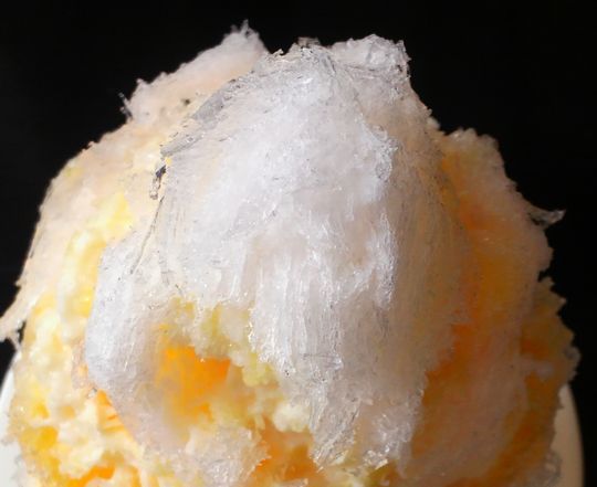 1000円グルメの日々in宇都宮