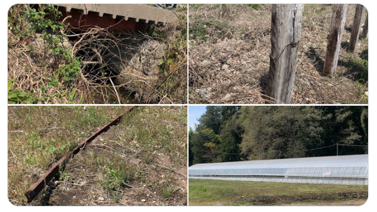 スクリーンショット 2024-04-23 224944