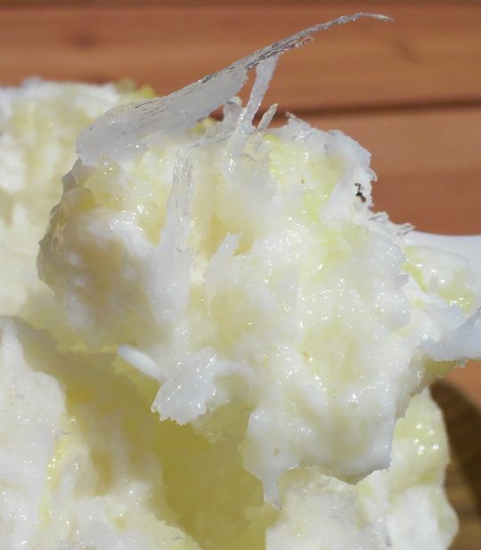 1000円グルメの旅 from 宇都宮 to 47都道府県