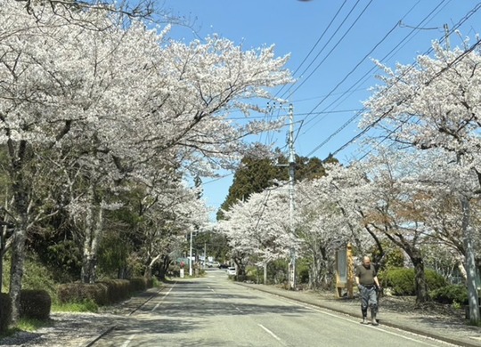 2025-04-12 21.05.03-2