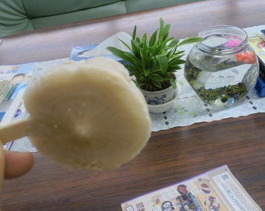 1000円グルメの旅 from 宇都宮 to 47都道府県