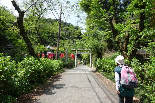 DSC05981