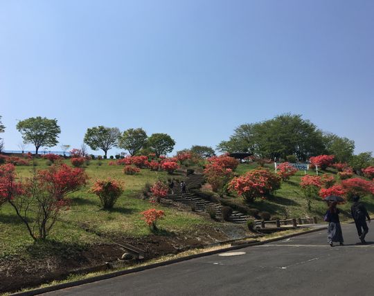 花山に苺山 ベリーズカフェ 鹿沼市 1000円グルメの旅 Powered By ライブドアブログ 花山に苺山 ベリーズカフェ 鹿沼市 1000円グルメの旅 Powered By ライブドアブログ