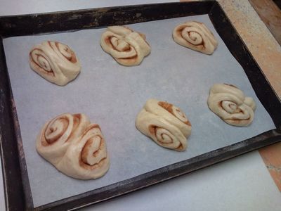 1000円グルメの日々in宇都宮