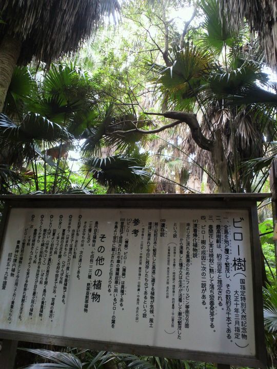 1000円グルメの旅　from 宇都宮　to 47都道府県