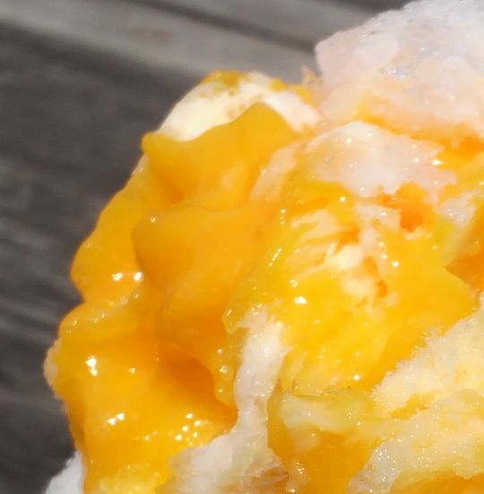 1000円グルメの旅 from 宇都宮 to 47都道府県