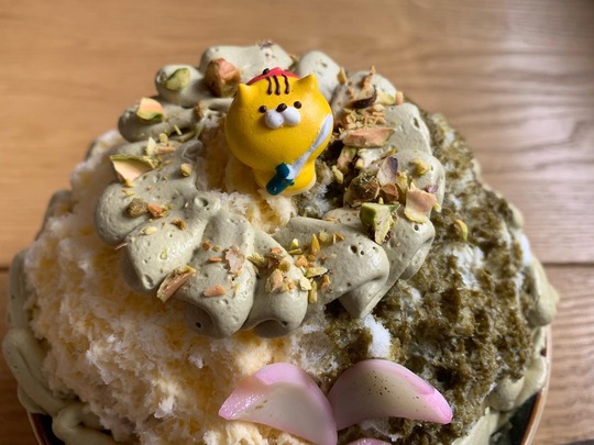 2022-02-19 12.46.14-5