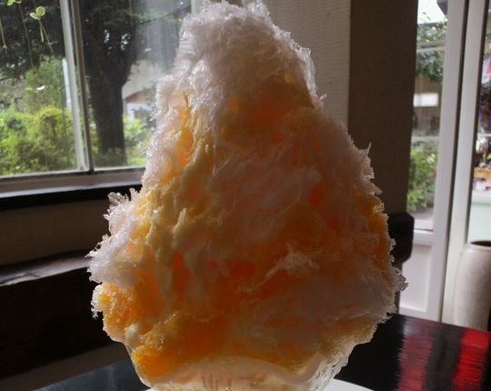 1000円グルメの日々in宇都宮