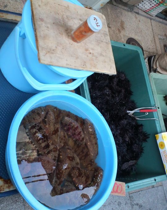 1000円グルメの旅　from 宇都宮　to 47都道府県