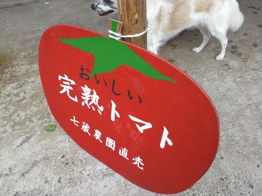 1000円グルメの旅 from 宇都宮 to 47都道府県