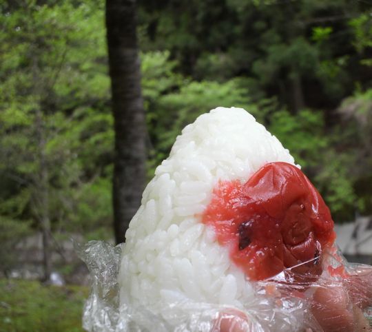 1000円グルメの旅 from 宇都宮 to 47都道府県