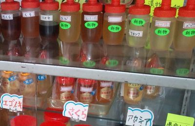 1000円グルメの日々in宇都宮