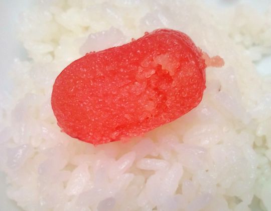 1000円グルメの日々in宇都宮