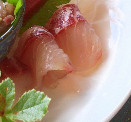 1000円グルメの旅 from 宇都宮 to 47都道府県