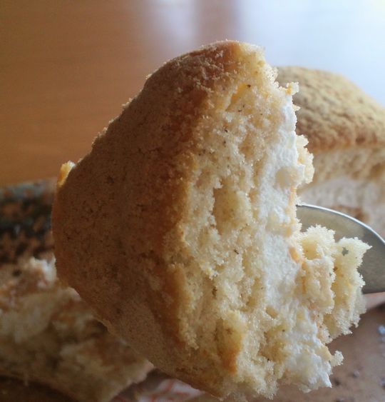 1000円グルメの旅 from 宇都宮 to 47都道府県