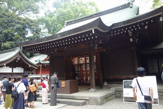DSC04870