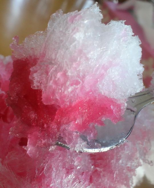 1000円グルメの日々in宇都宮