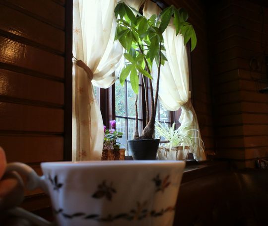 1000円グルメの旅　from 宇都宮　to 47都道府県