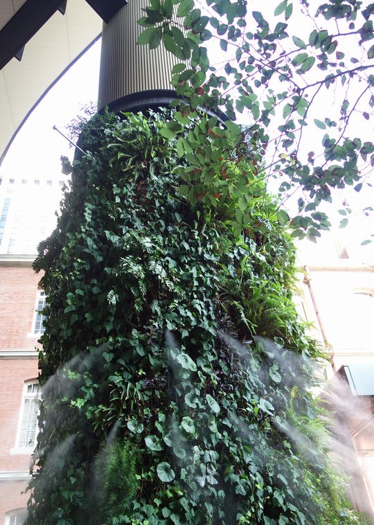 DSC03129
