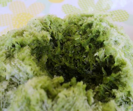 1000円グルメの旅　from 宇都宮　to 47都道府県