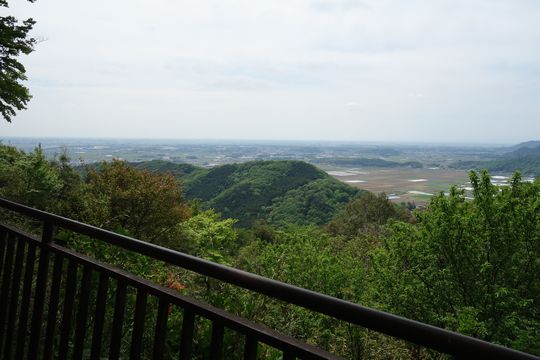 DSC05992