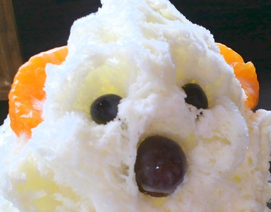 1000円グルメの旅　from 宇都宮　to 47都道府県