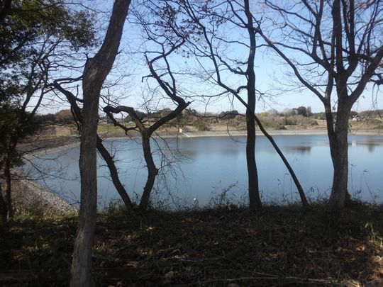1000円グルメの旅 from 宇都宮 to 47都道府県