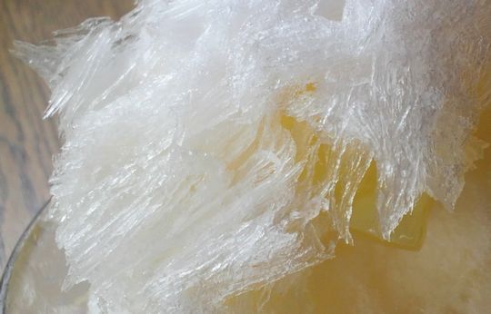 1000円グルメの日々in宇都宮