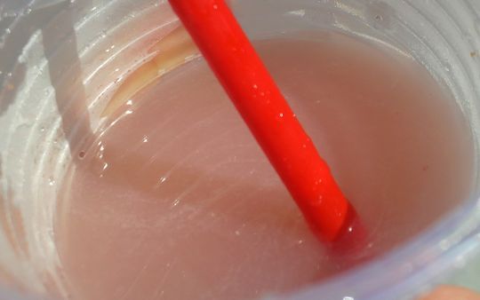 1000円グルメの日々in宇都宮