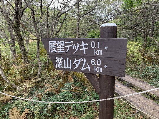 2019-09-28 09.51.47