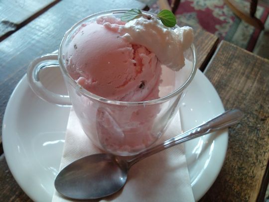 1000円グルメの日々in宇都宮