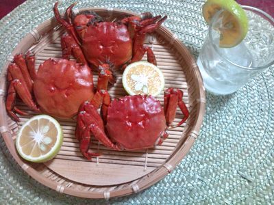 1000円グルメの日々in宇都宮