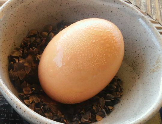 1000円グルメの日々in宇都宮