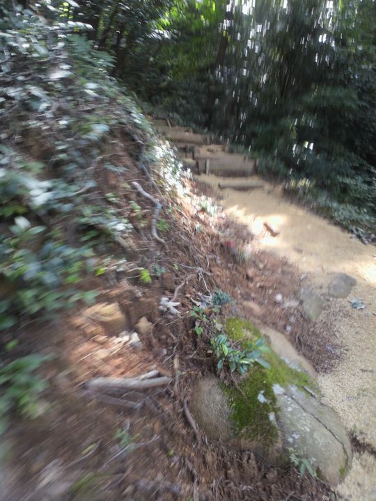 1000円グルメの旅　from 宇都宮　to 47都道府県