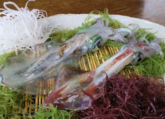 1000円グルメの旅 from 宇都宮 to 47都道府県