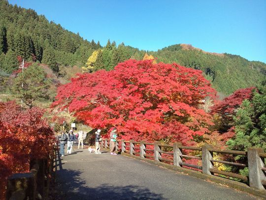 1000円グルメの日々in宇都宮
