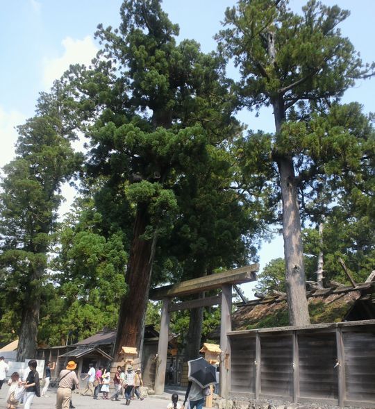 1000円グルメの旅　from 宇都宮　to 47都道府県