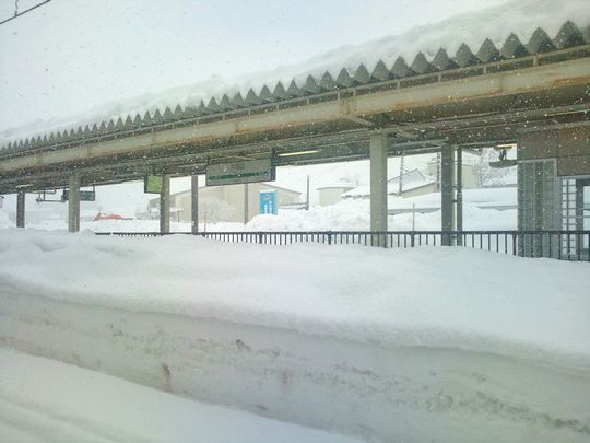 1000円グルメの日々in宇都宮