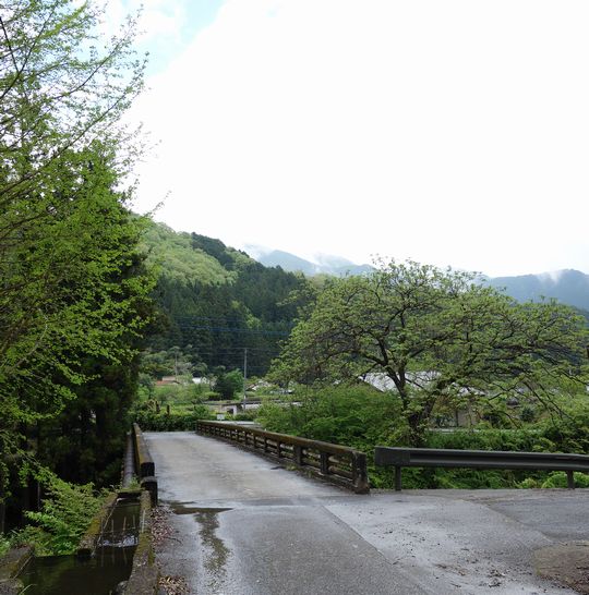 DSC00938