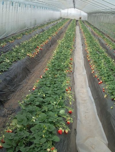 1000円グルメの日々in宇都宮