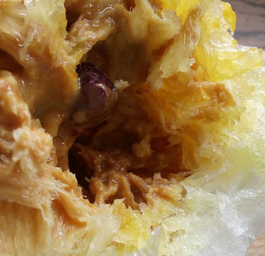 1000円グルメの旅 from 宇都宮 to 47都道府県