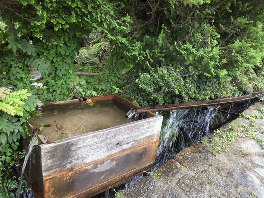 1000円グルメの旅 from 宇都宮 to 47都道府県