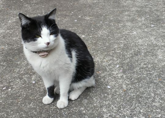 1000円グルメの旅　from 宇都宮　to 47都道府県